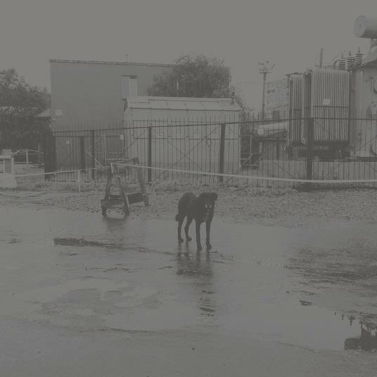 After Its Own Death - Walking in a Spiral Towards the House - Vinile LP di Nivhek