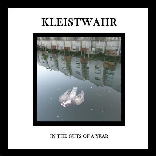 In the Guts of a Year - CD Audio di Kleistwahr