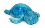 Tranquil Turtle Aqua