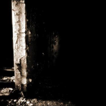 Perichoresis -Ltd- - CD Audio di Pulsefear