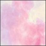 Coracle - CD Audio di Walls