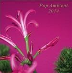 Pop Ambient 2014 - CD Audio