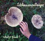 What's Fruit? - CD Audio di Schlammpeitziger
