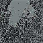 Urals - CD Audio di Walls