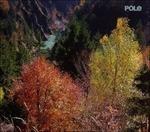 Wald - CD Audio di Pole
