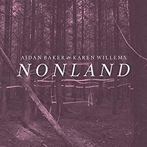 Nonland (Limited Edition) - Vinile LP di Aidan Baker