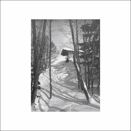 Path of Ruin - Vinile LP di DJ Richard