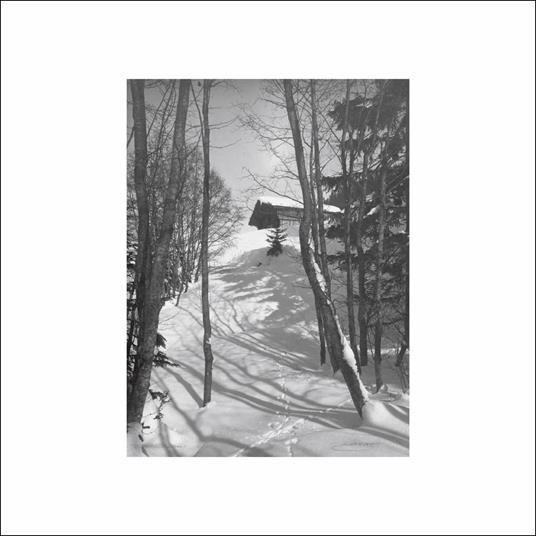 Path of Ruin - Vinile LP di DJ Richard