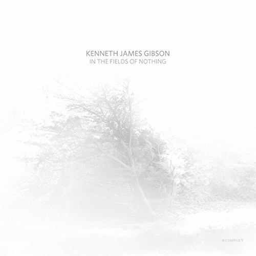 In the Fields of Nothing - Vinile LP di Kenneth James Gibson