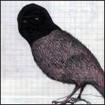 Barra Barra - CD Audio di Kaboom Karavan