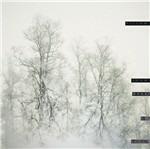 From Dusk to Dawn - CD Audio di Pillow