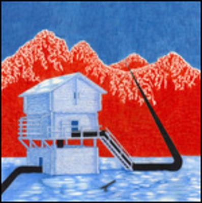 Le Millipede - CD Audio di Le Millipede