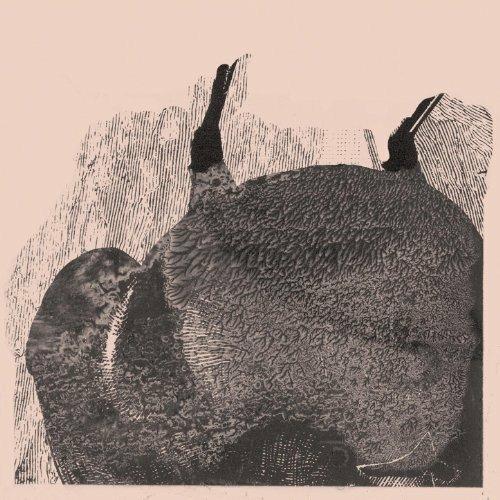 Knive - Vinile LP di Svarte Greiner