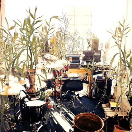 Climate - Vinile LP di Giraffe