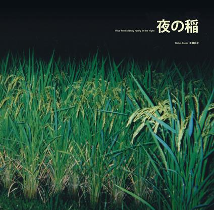 Rice Field Silently Riping in the Night - Vinile LP di Reiko Kudo