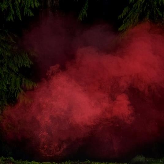 Reaping from the Conflux - CD Audio di P. A. Hulsenbeck