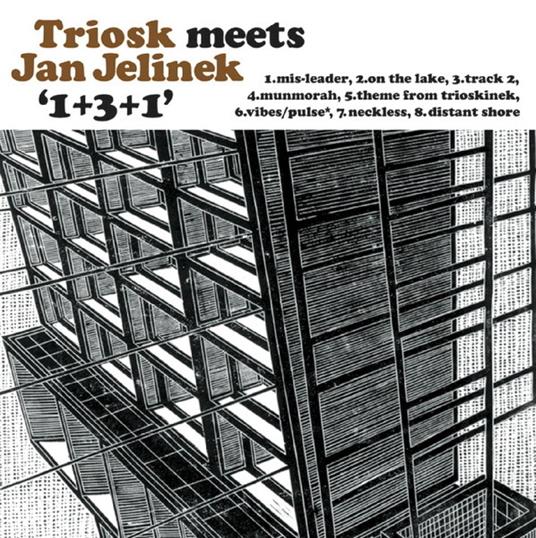 1 3 1 (with Jan Jelinek) - Vinile LP di Triosk