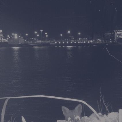 Fuchs - Vinile LP di Fuchs