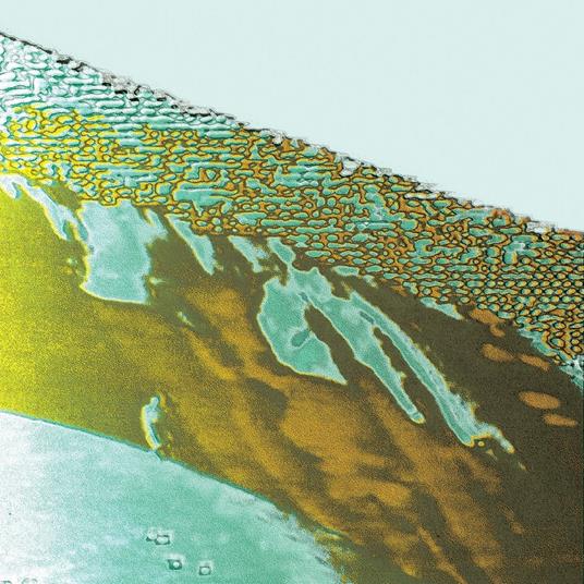 Koko Maailma - Vinile LP di Olli Aarni