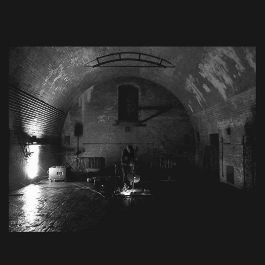 Devolving Trust - Vinile LP di Svarte Greiner
