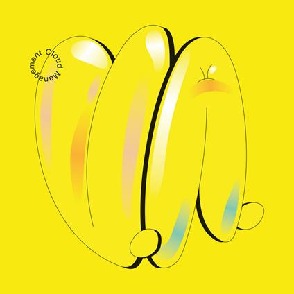V.A. - Vinile LP di Cloud Management