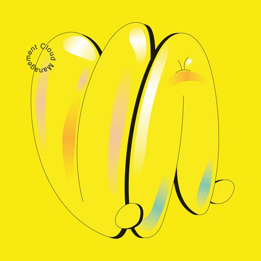 V.A. - Vinile LP di Cloud Management