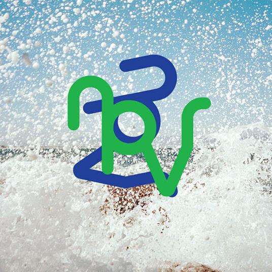 33 34 - Vinile LP di NPVR