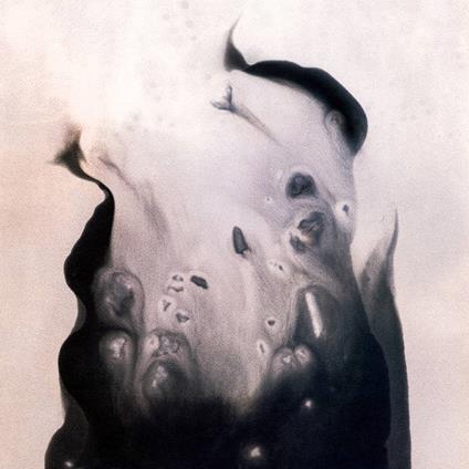 Salt - Vinile LP di Marla Hansen