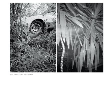 Two Verses - Vinile LP di Mark Templeton