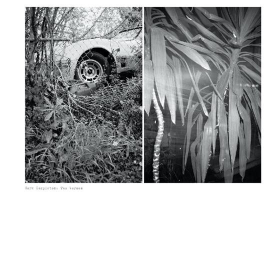 Two Verses - Vinile LP di Mark Templeton