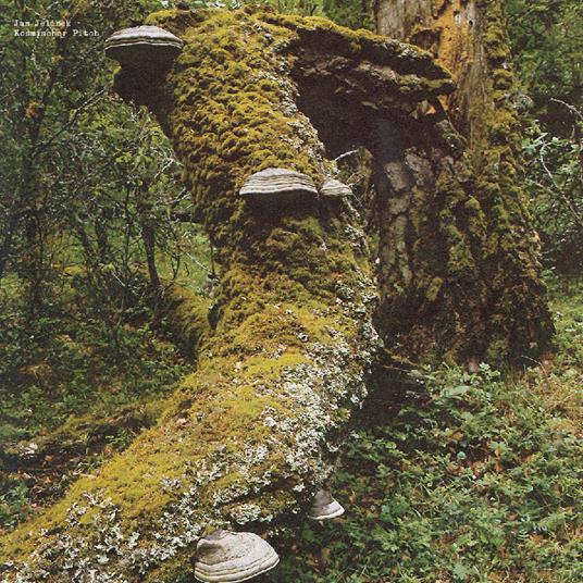 Kosmischer Pitch - Vinile LP di Jan Jelinek