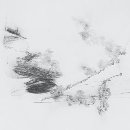 Air Outside Feels Crazy Right Now - Vinile LP di Perila