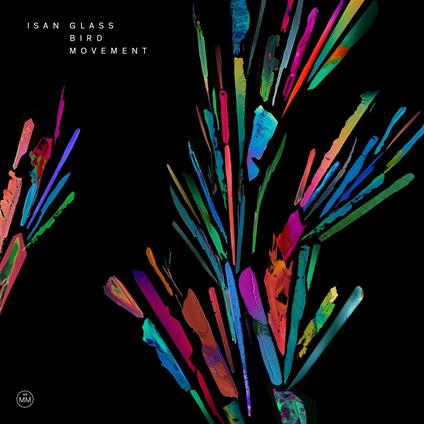 Glass Bird Movement - CD Audio di Isan