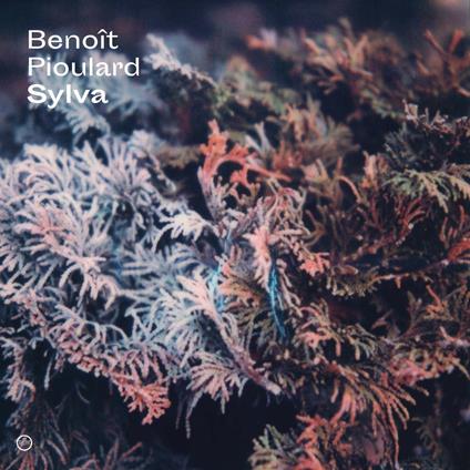 Sylva - Vinile LP di Benoit Pioulard