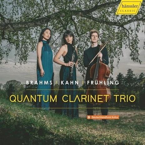 Quantum Clarinet Trio - CD Audio di Johannes Brahms