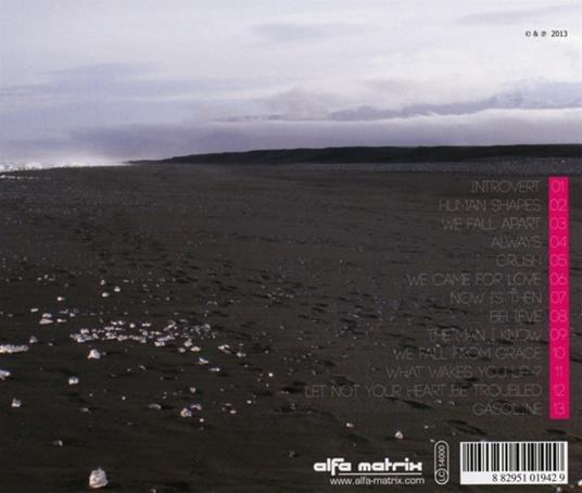 We Fall Apart - CD Audio di Technoir - 2