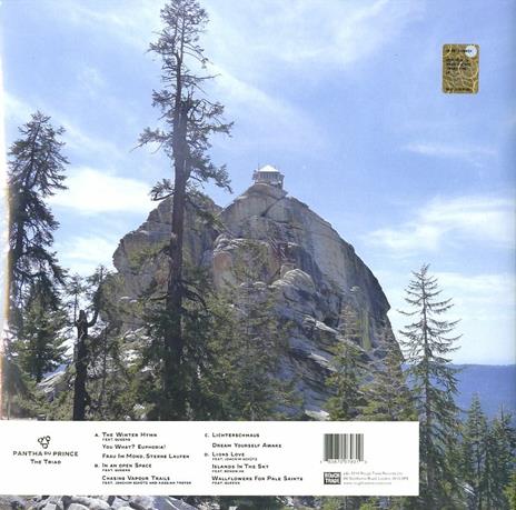 The Triad - Vinile LP di Pantha du Prince - 2