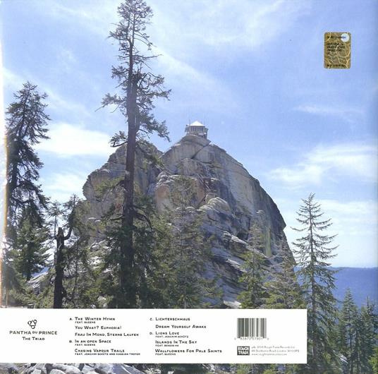 The Triad - Vinile LP di Pantha du Prince - 2