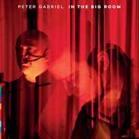 CD In The Big Room Peter Gabriel