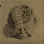 Insects (Limited Edition) - Vinile LP di Farsot
