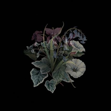 Wildflowers - Vinile LP di Nhor