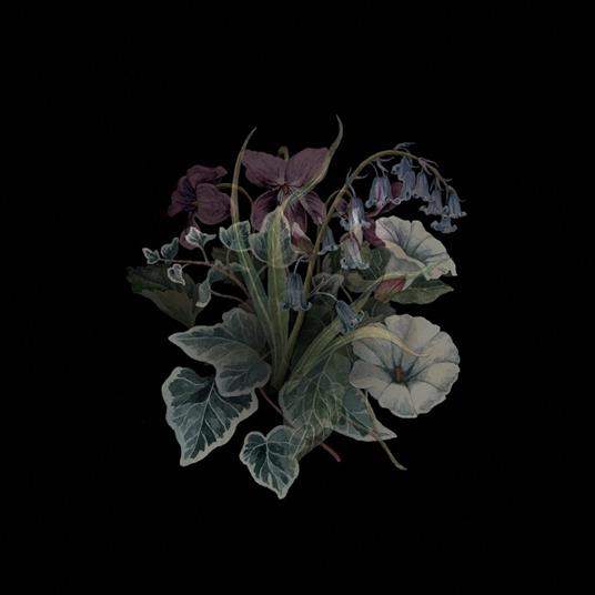 Wildflowers - Vinile LP di Nhor