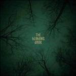 The Blinding Dark (+ libro)