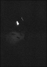 Nacht (Digipack) - CD Audio di Paysage d'Hiver