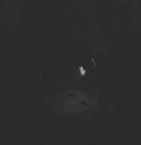 Nacht - Vinile LP di Paysage d'Hiver