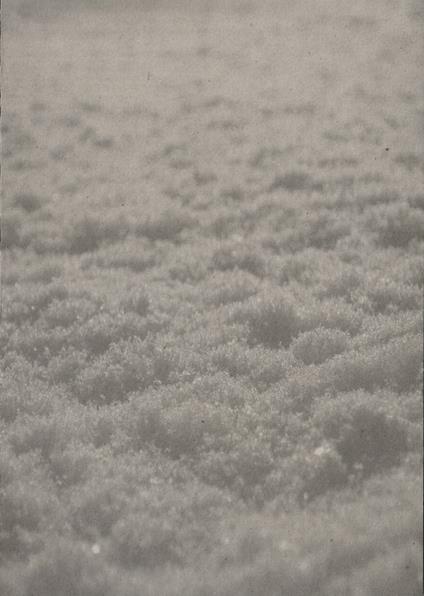 Schnee - CD Audio di Paysage d'Hiver