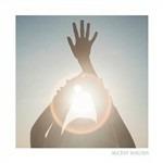 Shelter (Box completo) - Vinile LP + CD Audio + DVD di Alcest