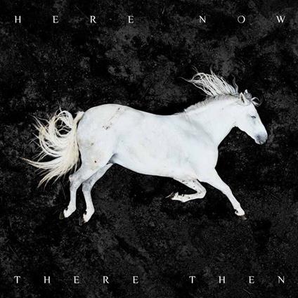 Here Now There Then (Picture Disc) - Vinile LP di Dool