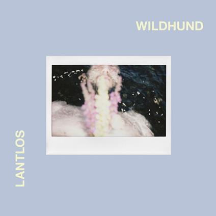 Wildhund - CD Audio di Lantlos