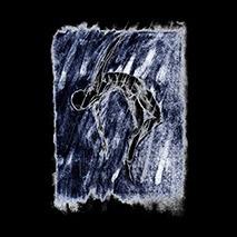 De Verste Verte Is Hier - CD Audio di Laster